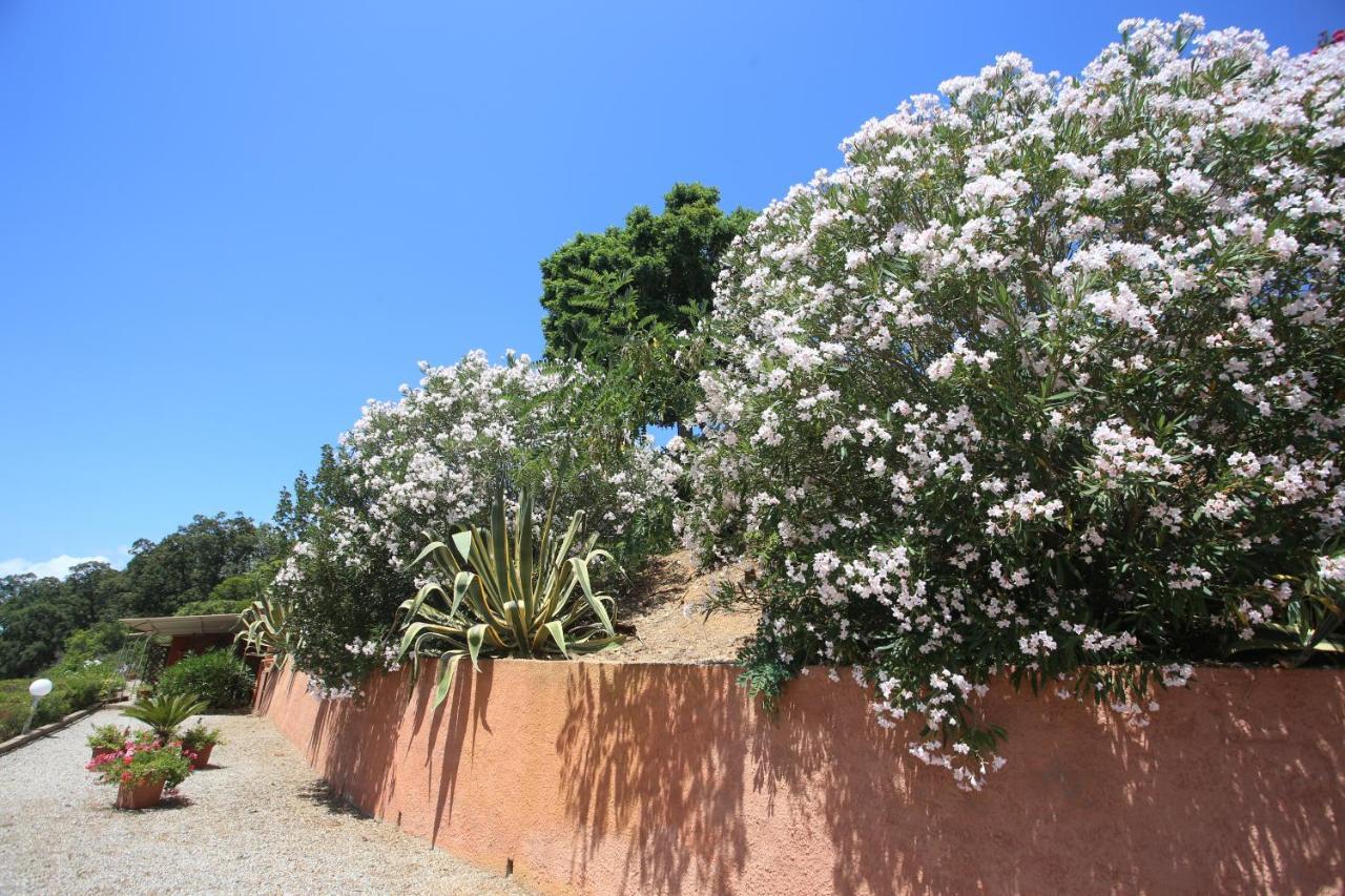 Ca' La Stella Sea-View Apartments Porto Azzurro Exteriér fotografie