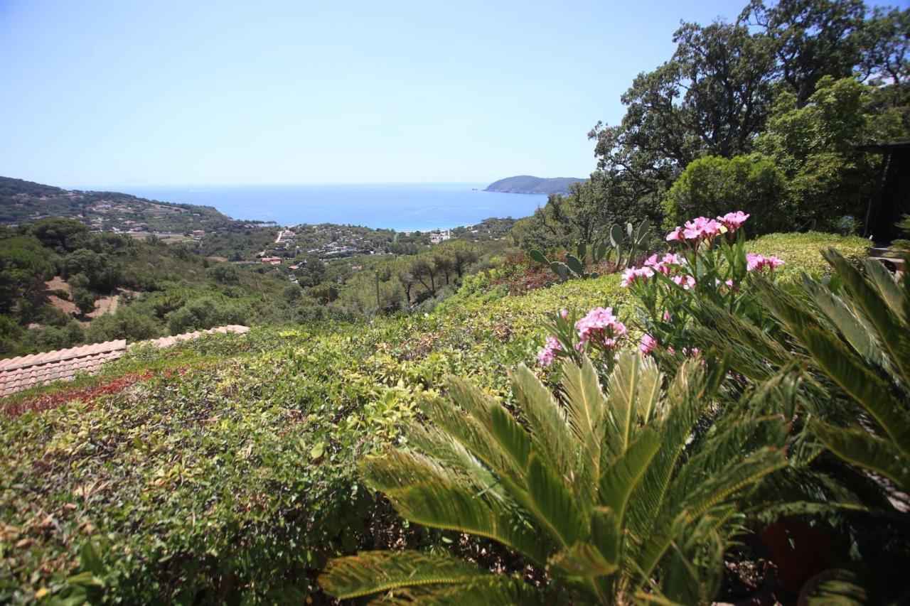Ca' La Stella Sea-View Apartments Porto Azzurro Exteriér fotografie